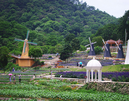 增城三英温泉+二龙山+白水寨+小楼风景区二天游